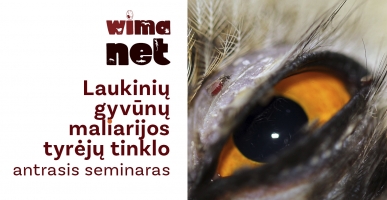 2025-08-25–28 WIMANET seminaro anonsas mažas LT-3e3483ba277fd1ec0898a6fc310d2d67.jpg
